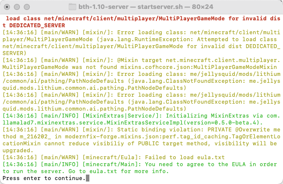 Server initialization output