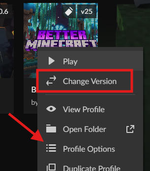 CurseForge right-click menu showing Profile Options selection