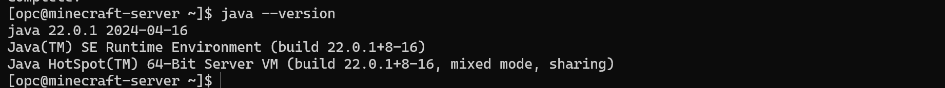Java version verification output