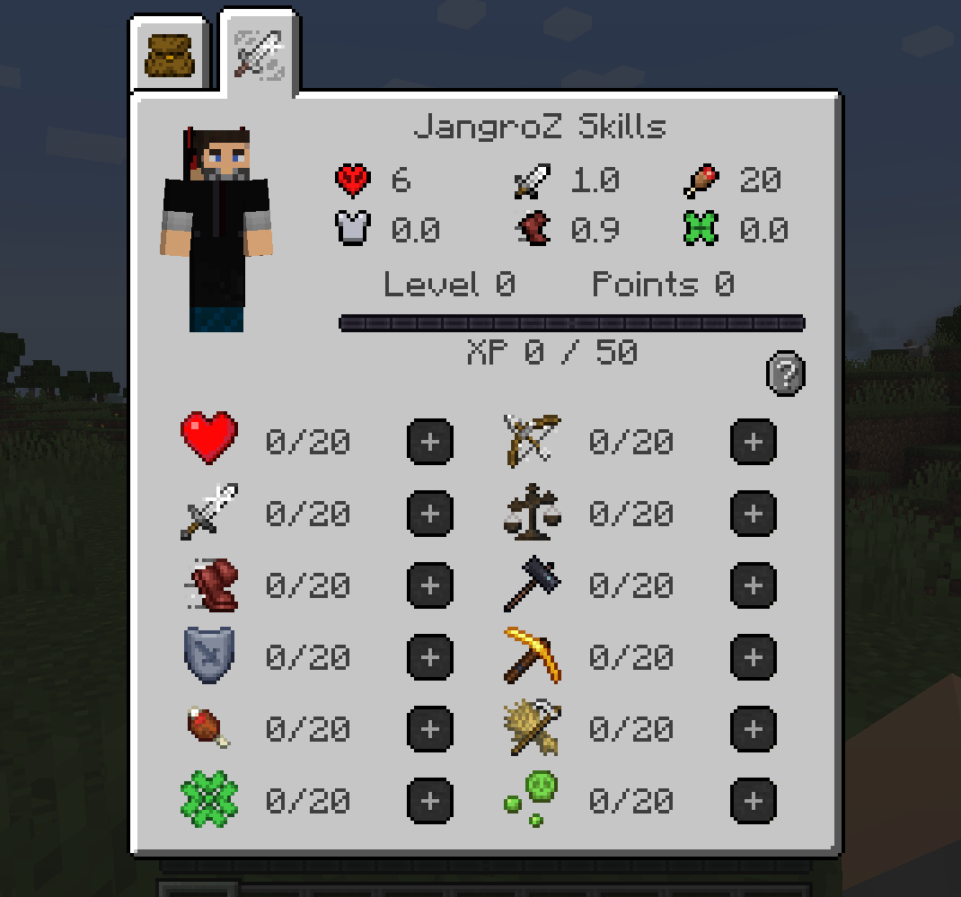 LevelZ skills window interface