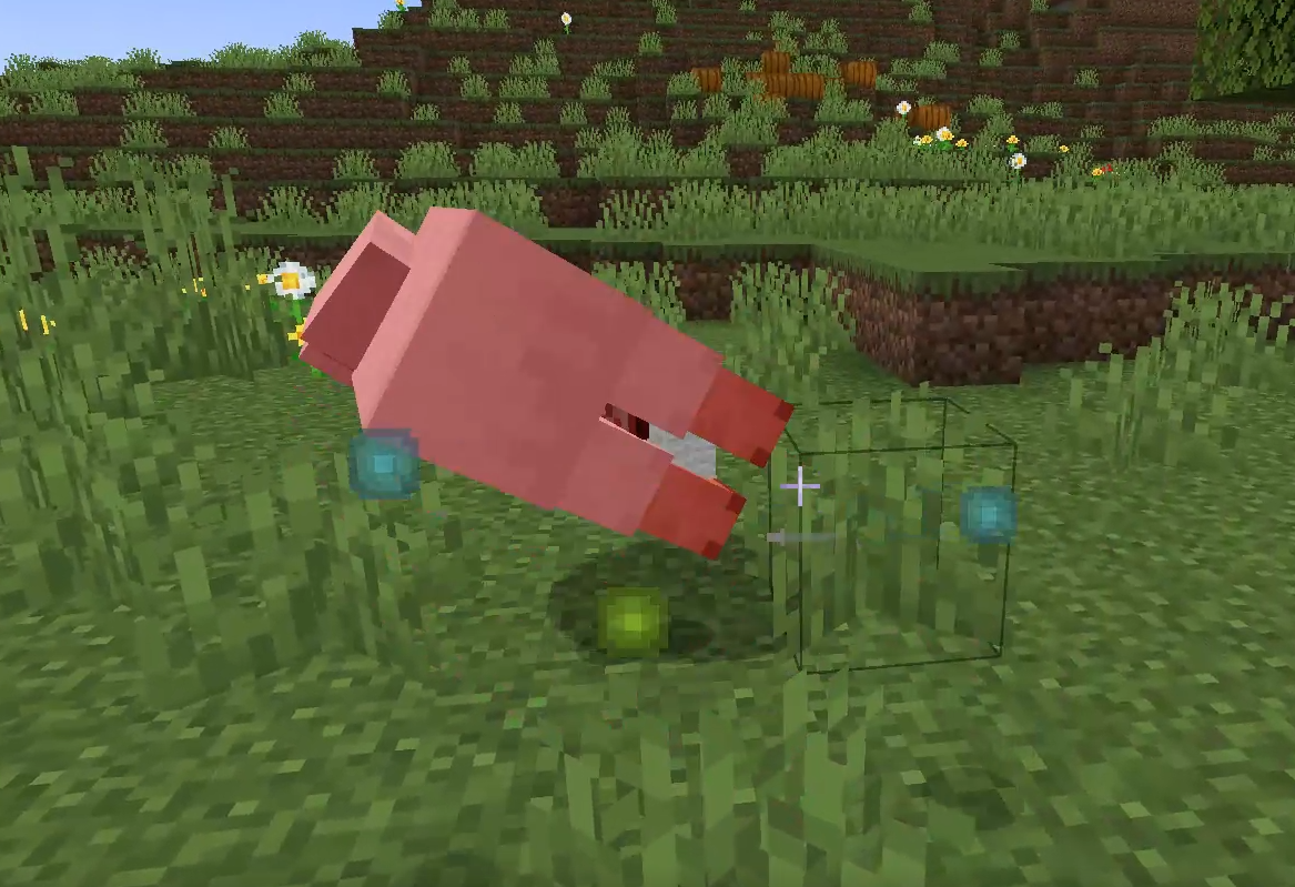 LevelZ blue XP orbs from killing sheep