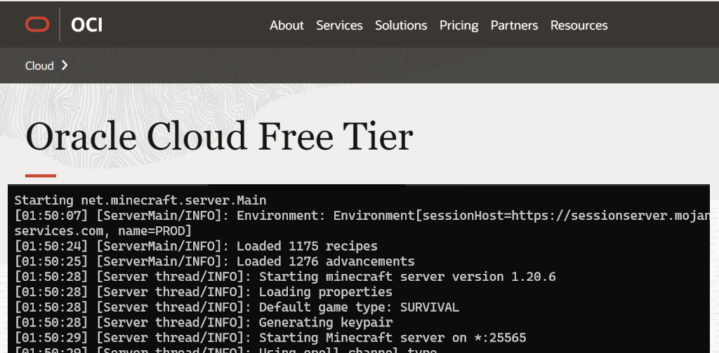 How Set Up a Free Vanilla Minecraft Server in 2024
