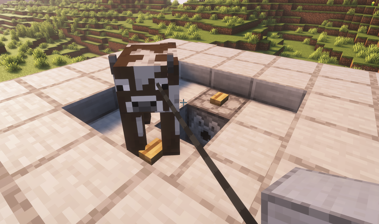 Cows packed in entity cramming chamber ready for breeding