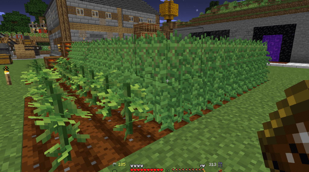 Hemp and Industrial Hemp farm in Valhelsia 3