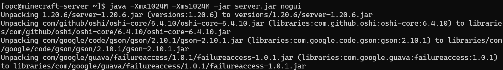 Java server first run command