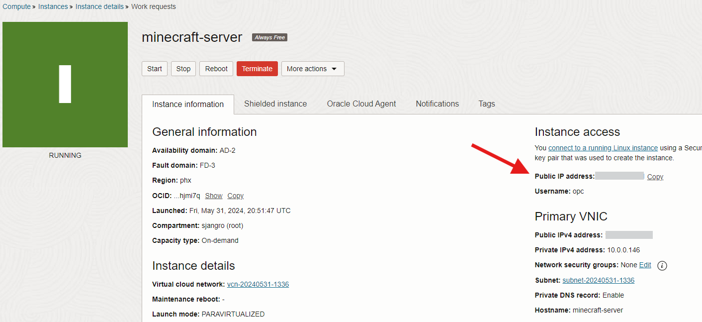 Oracle Cloud instance running with IP